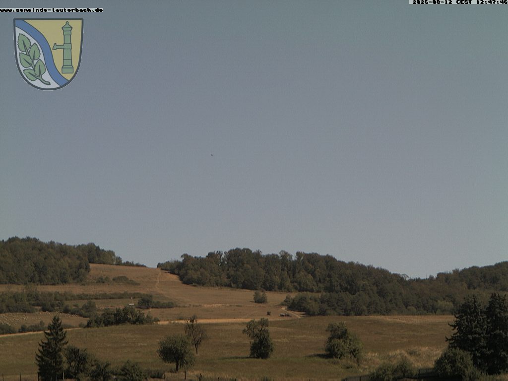 Camera Live Image
