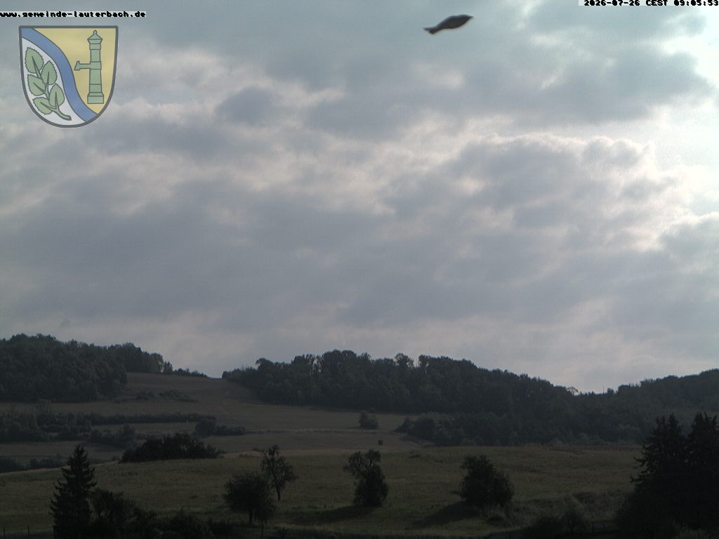 Camera Live Image